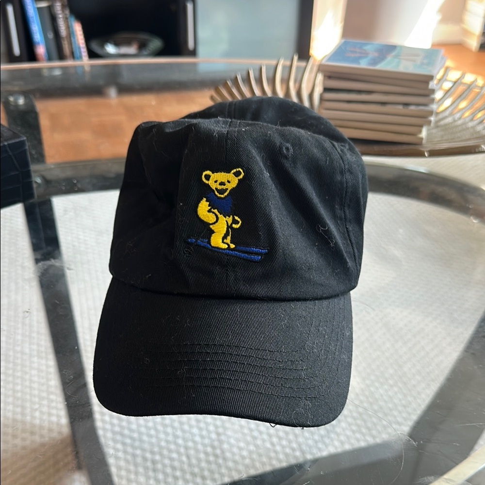 Teton Gravity Works Cap